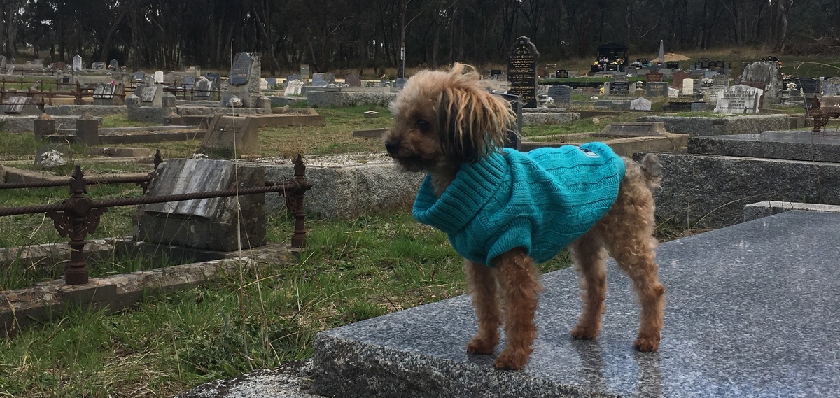 Pet Burials in Victoria